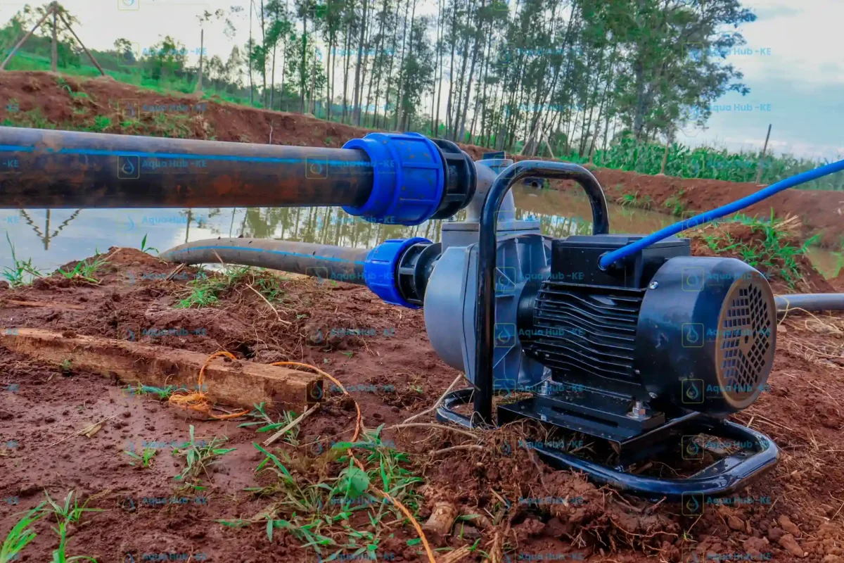 Surface pump getting water from a pond