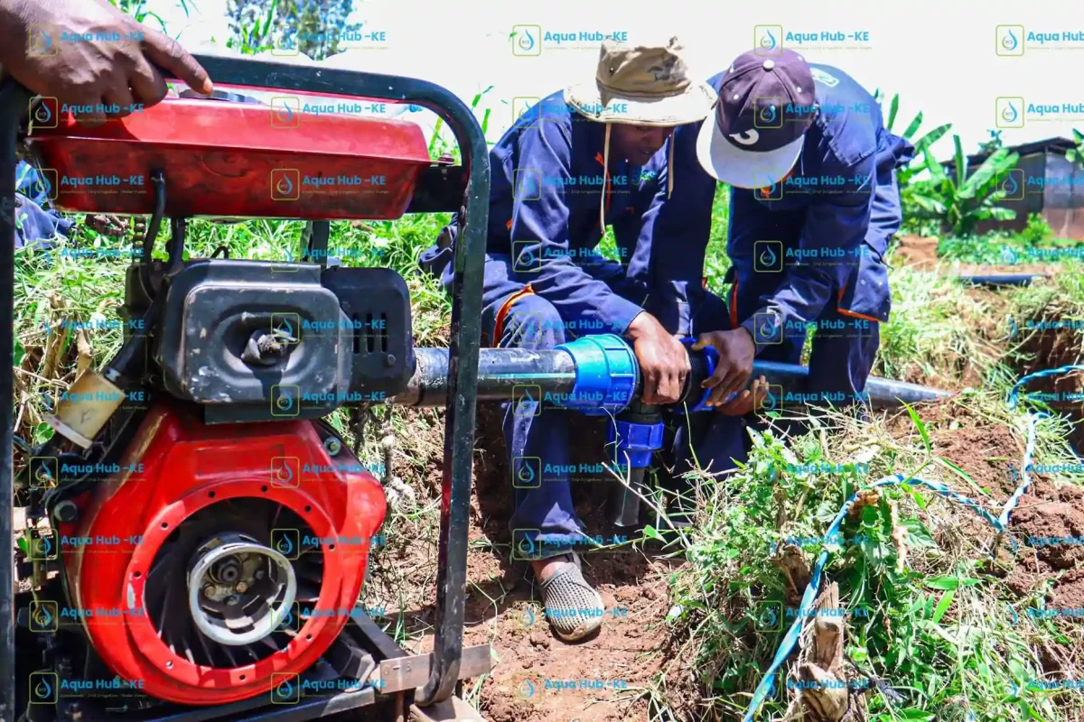 Pump installation in Embu