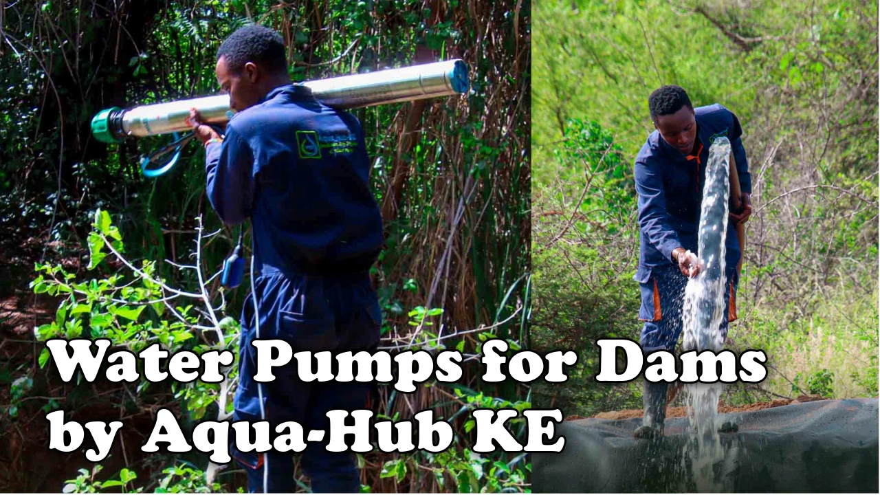 Water pumps for dams in Kenya