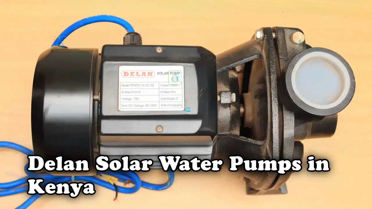 Delan Solar Water Pumps in Kenya