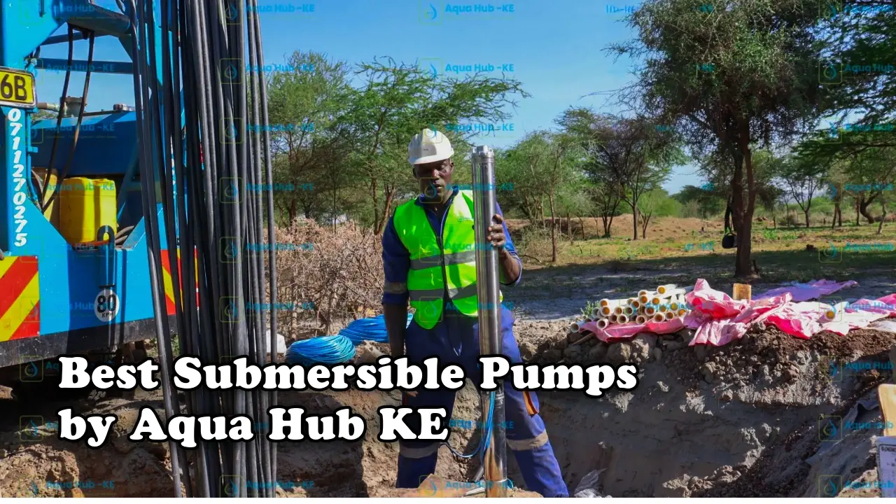 Best submersible pumps by Aqua Hub Kenya