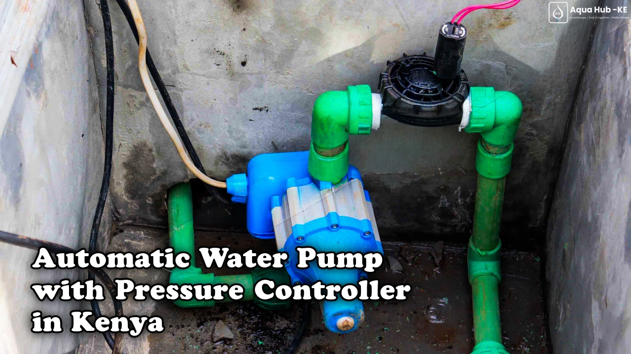 Automatic water pump with pressure controller in Kenya