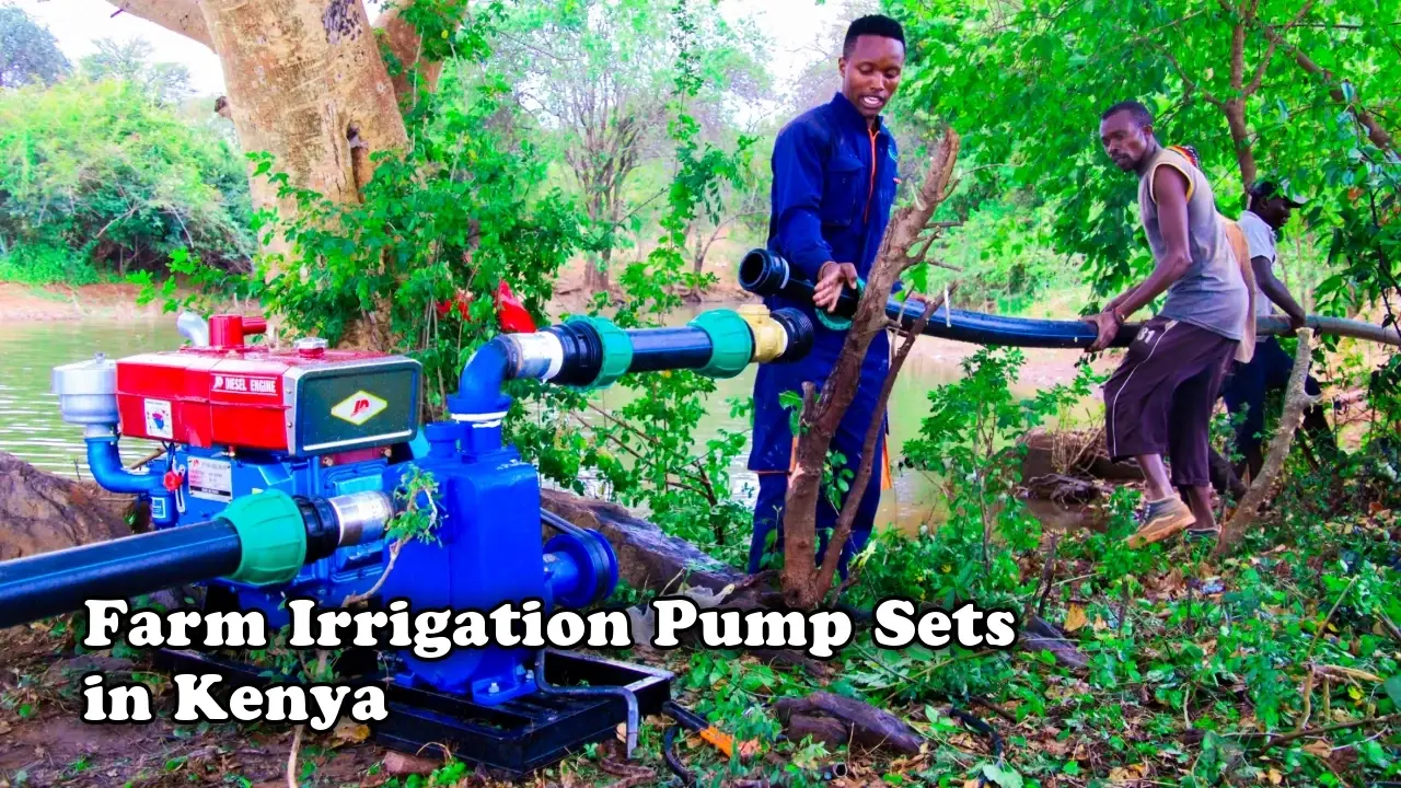 Farm irrigation pump sets in Kenya