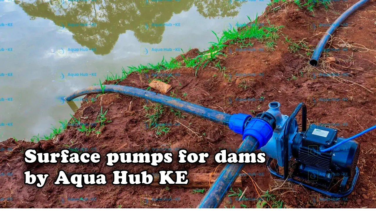 Surface pumps for dams by Aqua Hub Kenya