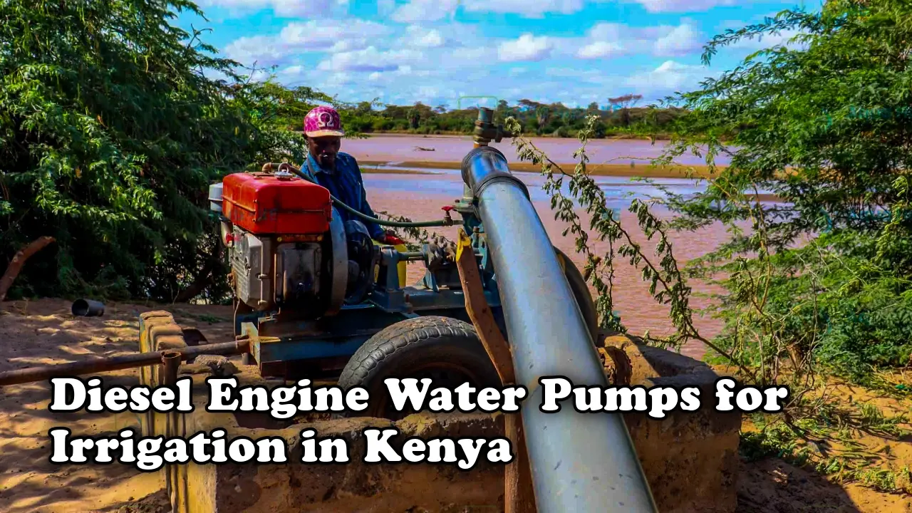 Diesel engine water pumps for irrigation in Kenya