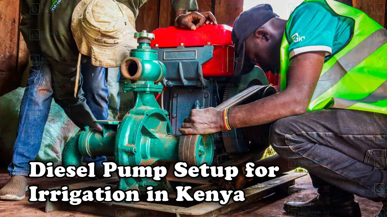 Diesel pump setup for irrigation in Kenya