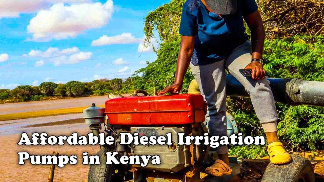 Affordable Diesel Irrigation Pumps in Kenya